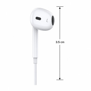 Earphones