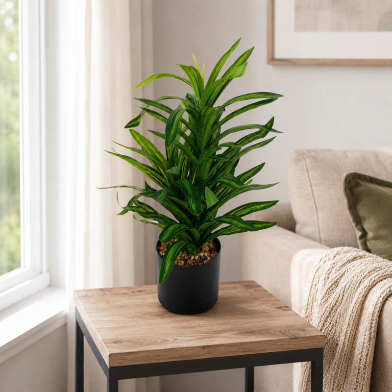 Artificial Dracaena Plant – Black 