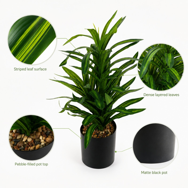 Artificial Dracaena Plant – Black 