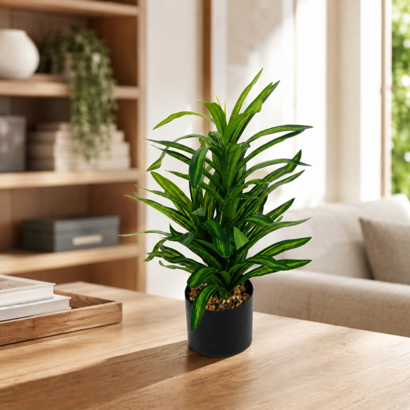 Artificial Dracaena Plant – Black 