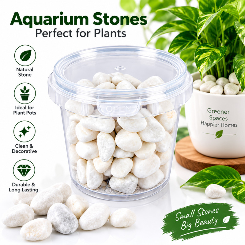 Aquarium Stones