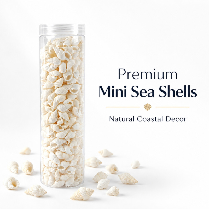 Professional White Mini Spiral Seashell Beads – Decorative Jar for DIY & Jewelry (20cm)