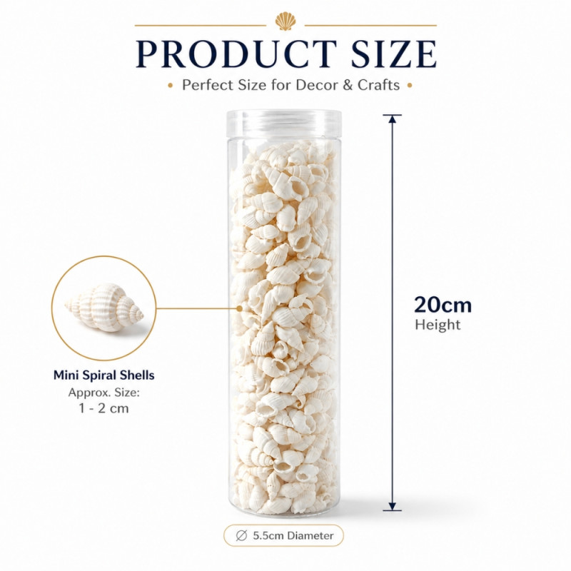 Professional White Mini Spiral Seashell Beads – Decorative Jar for DIY & Jewelry (20cm)