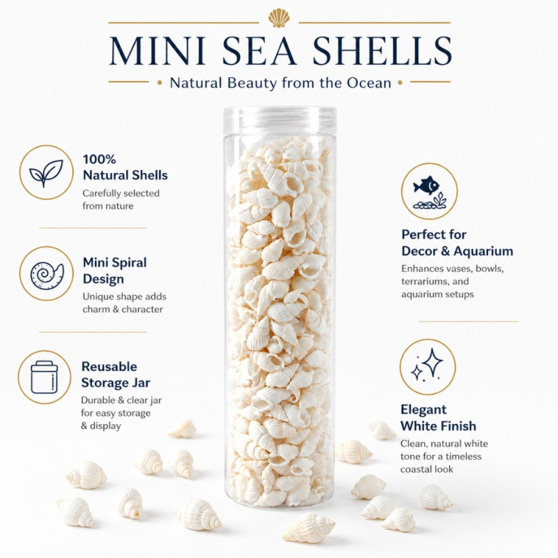 Professional White Mini Spiral Seashell Beads – Decorative Jar for DIY & Jewelry (20cm)