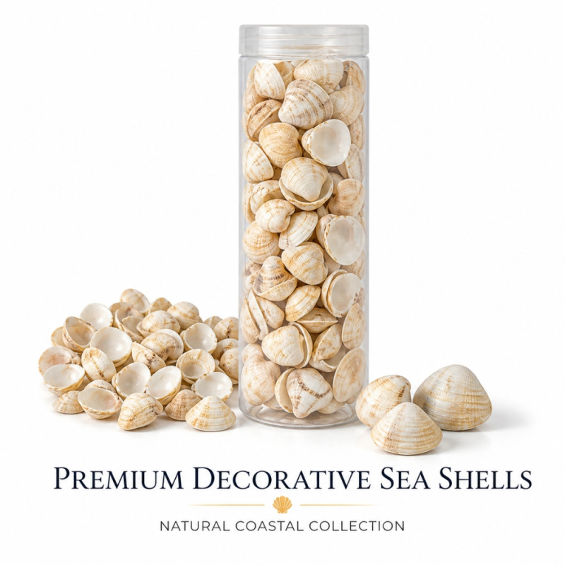 Professional Ivory Natural Seashell Beads – Multi-Purpose Aquarium & Decorative Set (20cm)