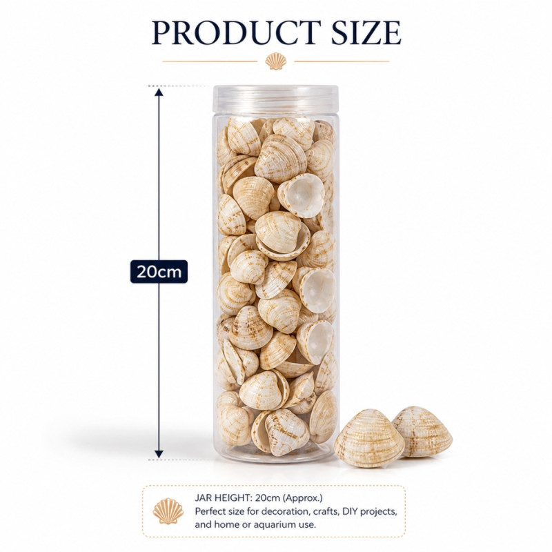 Professional Ivory Natural Seashell Beads – Multi-Purpose Aquarium & Decorative Set (20cm)