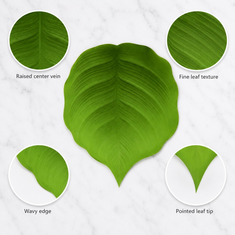 Prime Craft Table Mat Designed for Elegant Dining &amp; Entertaining – Green (H-46cm X W-40cm)