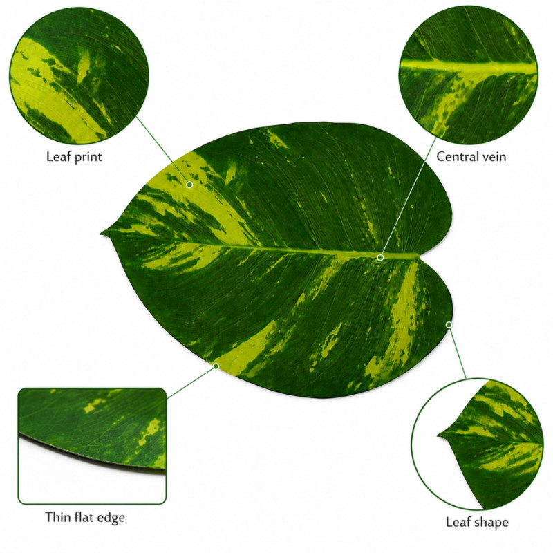 Radiant Level Table Mat Designed for Elegant Dining &amp; Entertaining – Green (H-38cm x W-50cm)