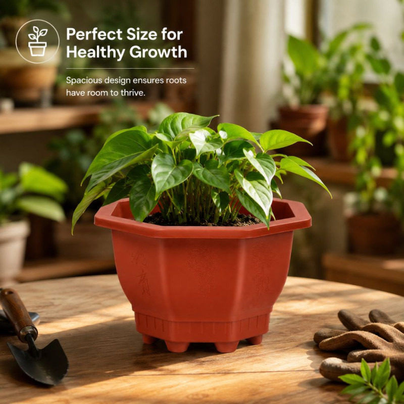 Cosmoplast Octagonal Plastic Flowerpot – Durable Brown Planter (21x11.5cm)