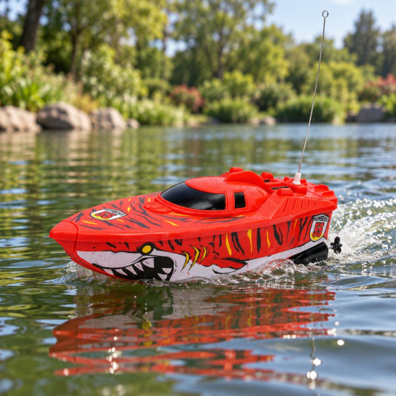 Remote Control Boat