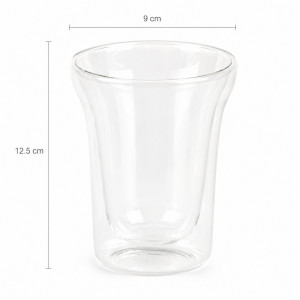 Double Wall Glass Tumbler