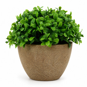 Professional Artificial Boxwood Grass Planter – Vibrant Orange in Gray Pot (12cm) Professional Artificial Boxwood Grass Planter – Vibrant Orange in Gray Pot (12cm)