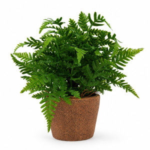 Professional Nearly Natural Artificial Fern Plant – Realistic Greenery in Textured Pot (24cm) Professional Nearly Natural Artificial Fern Plant – Realistic Greenery in Textured Pot (24cm)