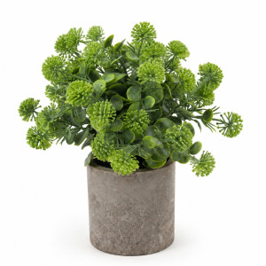 Professional Chantilly Cora Wild Flower in Pot – Green & Gray (20cm) Professional Chantilly Cora Wild Flower in Pot – Green & Gray (20cm)