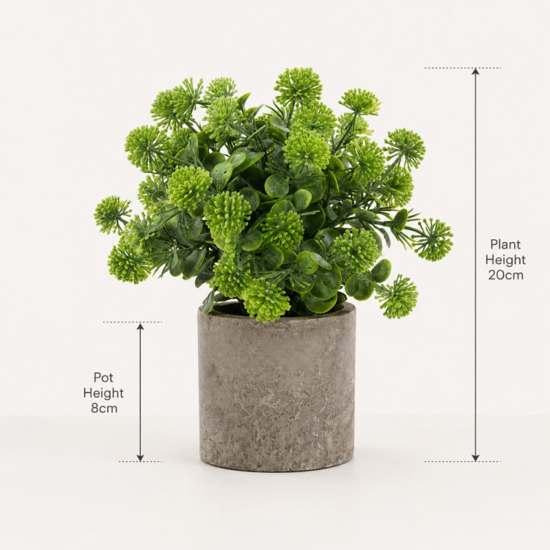 Professional Chantilly Cora Wild Flower in Pot – Green & Gray (20cm)