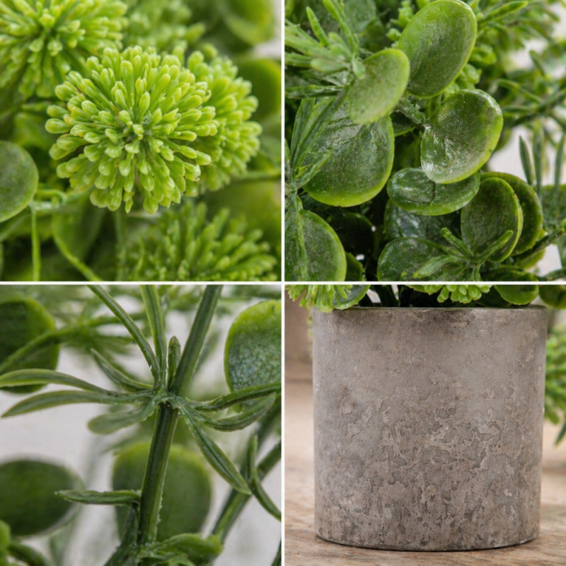 Professional Chantilly Cora Wild Flower in Pot – Green & Gray (20cm)