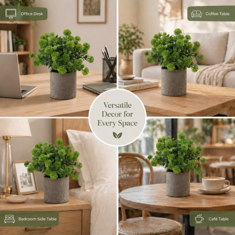 Professional Chantilly Cora Wild Flower in Pot – Green & Gray (20cm)