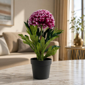 Professional Artificial Chrysanthemum Plant – Vibrant Purple & Green in Black Pot (27cm) Professional Artificial Chrysanthemum Plant – Vibrant Purple & Green in Black Pot (27cm)