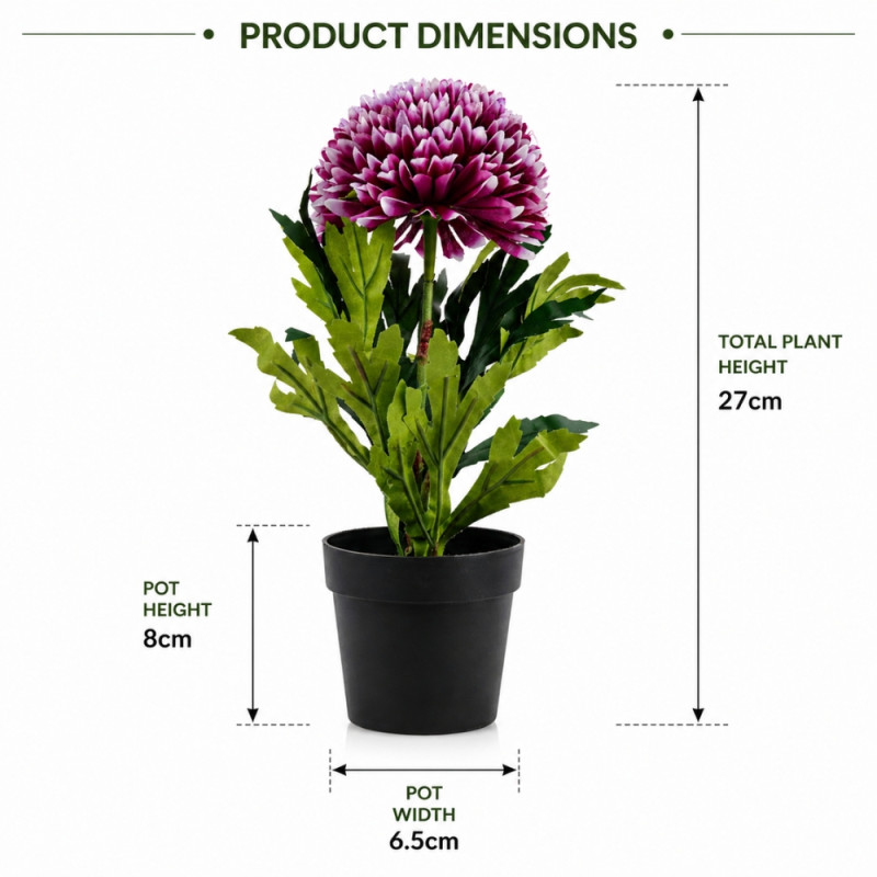 Professional Artificial Chrysanthemum Plant – Vibrant Purple & Green in Black Pot (27cm)