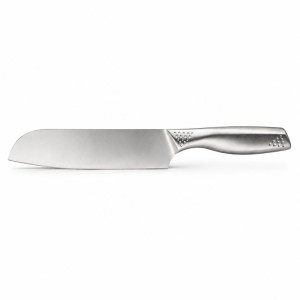 Essential Knife – Silver Premium Quality (22 x 2.3 cm)