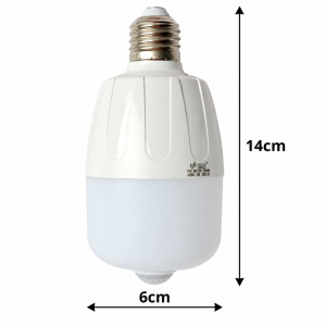 Motion Sensor Light Bulb