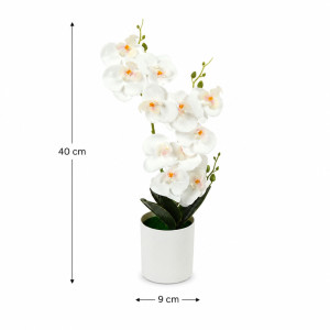 Elegant Orchid in White Pot - Decorative