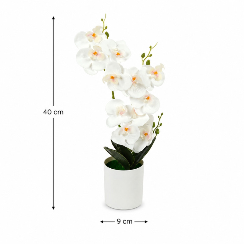 Elegant Orchid in White Pot - Decorative