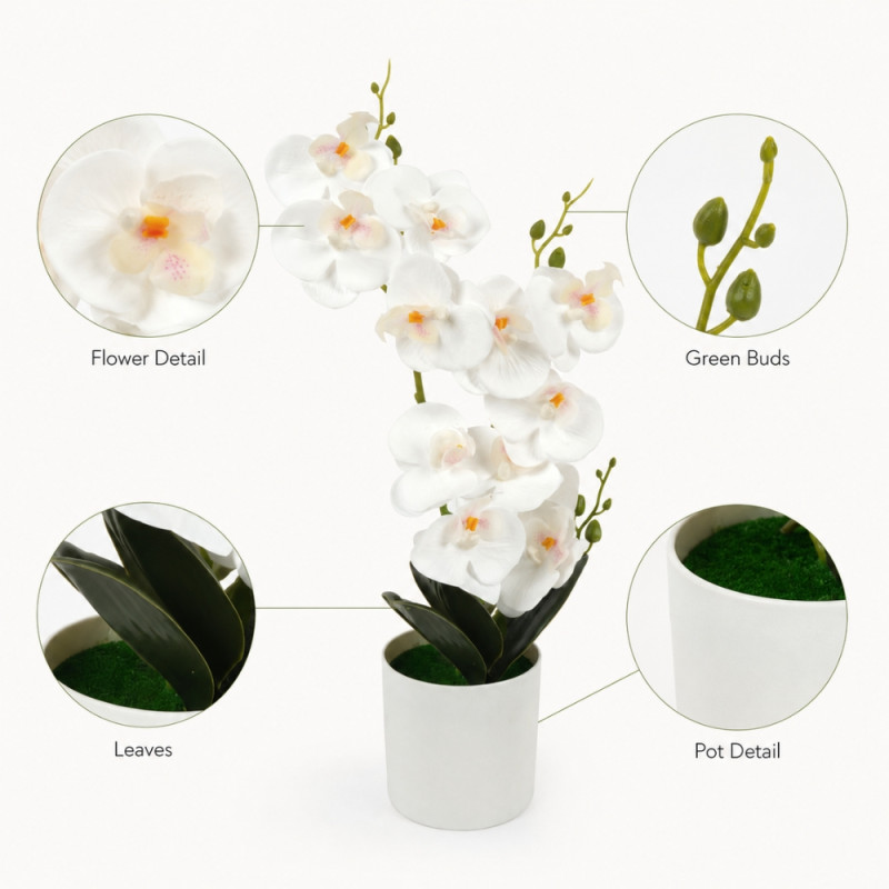 Elegant Orchid in White Pot - Decorative