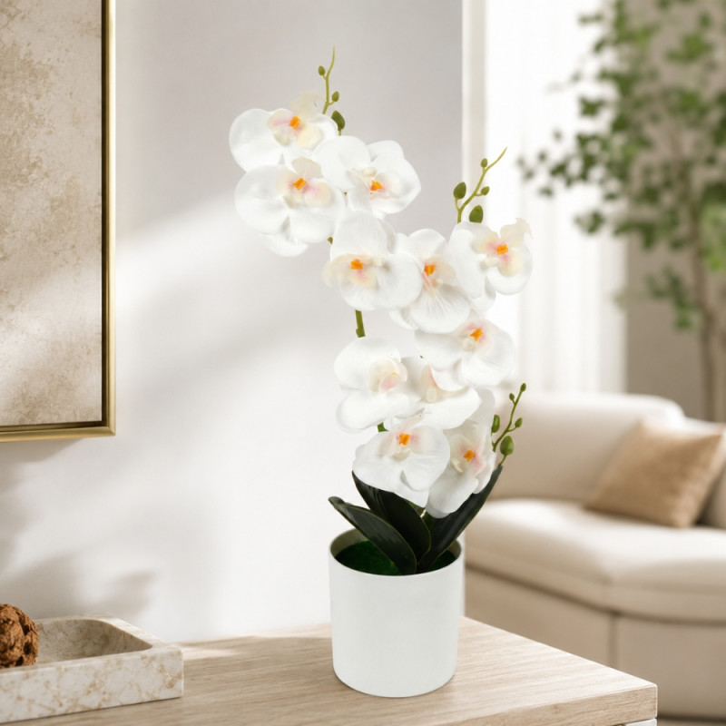Elegant Orchid in White Pot - Decorative