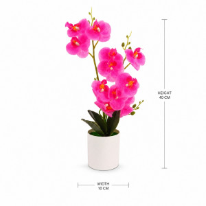 Elegant Orchid in White Pot - Pink (H40cm X W10cm)