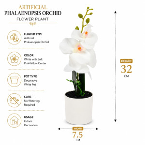 Clay Craft Artificial Orchid Designed for Home Décor & Event Styling – White (H-32, W-7.5 CM)