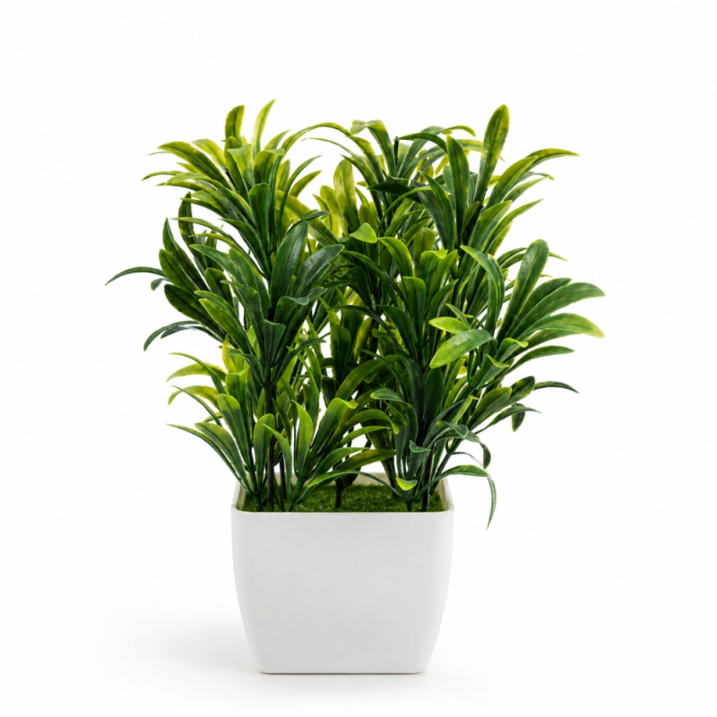 Professional Zvezvia Artificial Dracaena Tree – Green & White Planter (23cm)