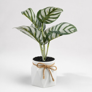 Professional Artificial Calathea Orbifolia – Green Foliage in White Geometric Pot (28cm) Professional Artificial Calathea Orbifolia – Green Foliage in White Geometric Pot (28cm)