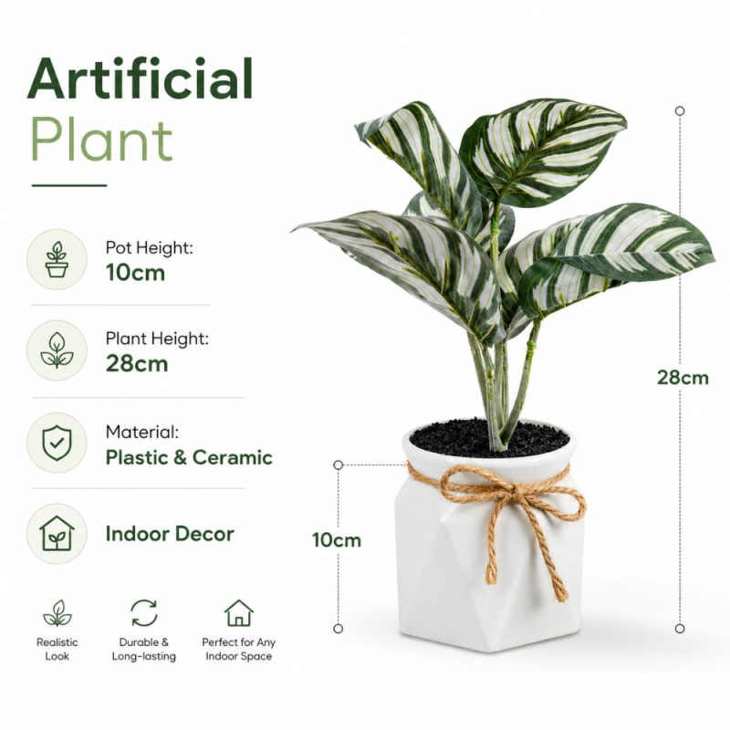 Professional Artificial Calathea Orbifolia – Green Foliage in White Geometric Pot (28cm)