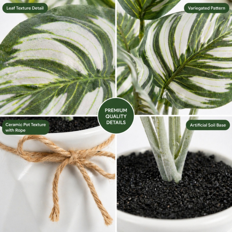 Professional Artificial Calathea Orbifolia – Green Foliage in White Geometric Pot (28cm)