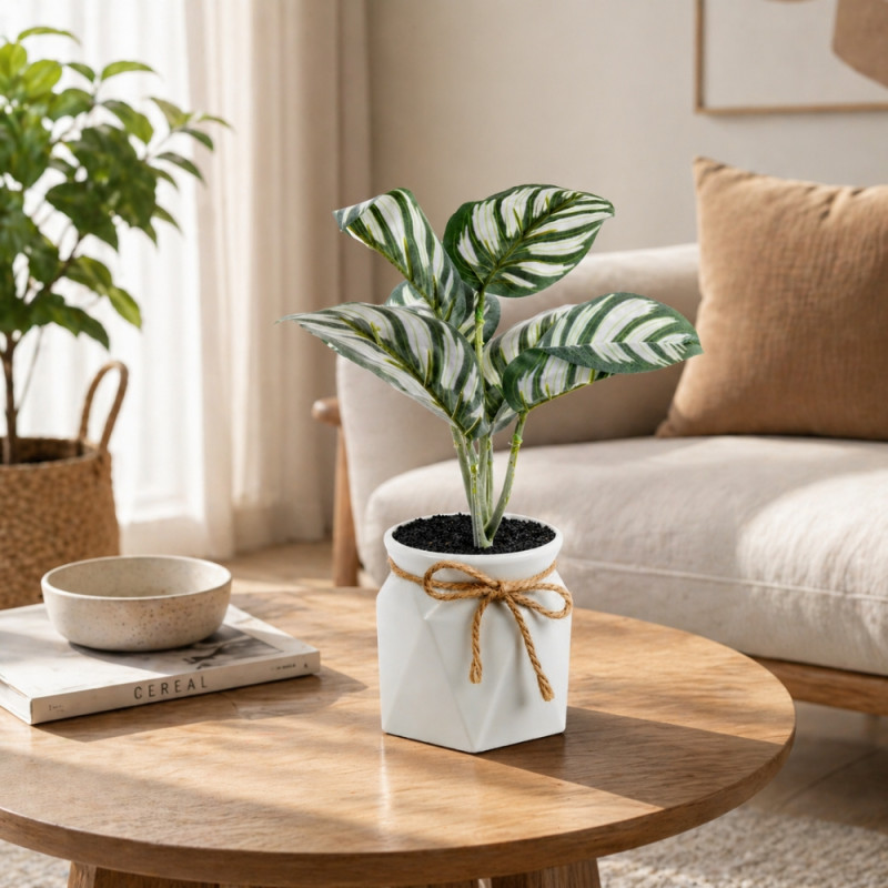 Professional Artificial Calathea Orbifolia – Green Foliage in White Geometric Pot (28cm)