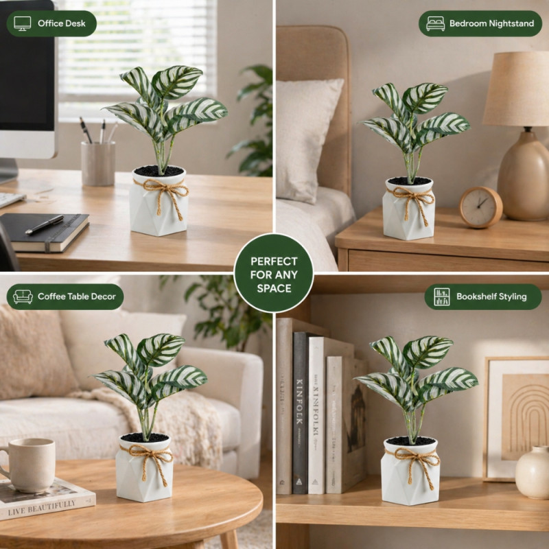 Professional Artificial Calathea Orbifolia – Green Foliage in White Geometric Pot (28cm)