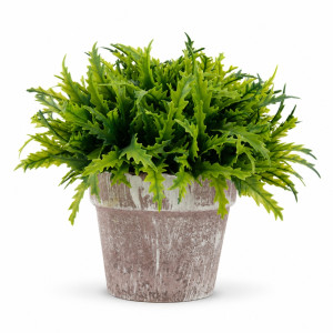 Professional Artificial Fern Plant – Nearly Natural Green & Brown (20cm) Professional Artificial Fern Plant – Nearly Natural Green & Brown (20cm)