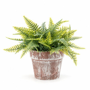 Professional Artificial Fern Potted Plant – Realistic Green Fronds in Distressed Terracotta Pot (20cm) Professional Artificial Fern Potted Plant – Realistic Green Fronds in Distressed Terracotta Pot (20cm)