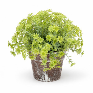 Professional Artificial Sedum Succulent – Vibrant Lime & Brown (20cm) Professional Artificial Sedum Succulent – Vibrant Lime & Brown (20cm)