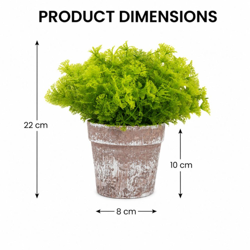 Graceful Glow Artificial Fern Leaf Planter Designed for Home Décor &amp; Event Styling – Light Green (H-22, W-8 CM)