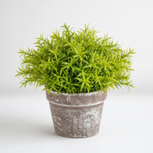 Professional Artificial Potted Foliage – Light Green in Rustic Brown Pot (19cm) Professional Artificial Potted Foliage – Light Green in Rustic Brown Pot (19cm)