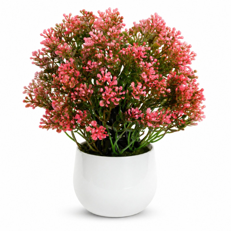 Professional Artificial Potted Chamelaucium – Pink Waxflowers in White Ceramic (26cm)