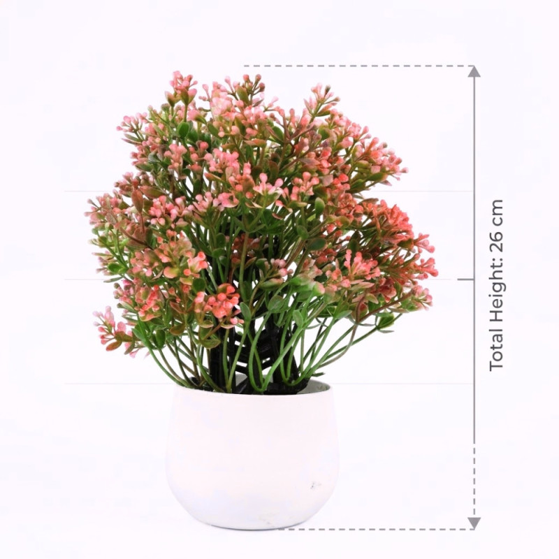 Professional Artificial Potted Chamelaucium – Pink Waxflowers in White Ceramic (26cm)