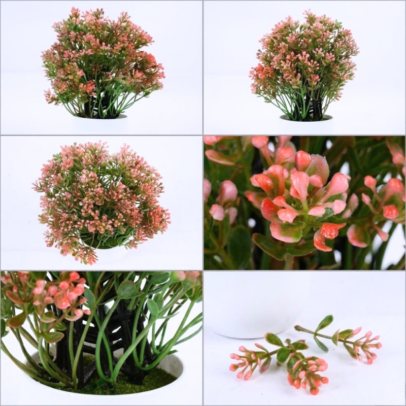 Professional Artificial Potted Chamelaucium – Pink Waxflowers in White Ceramic (26cm)
