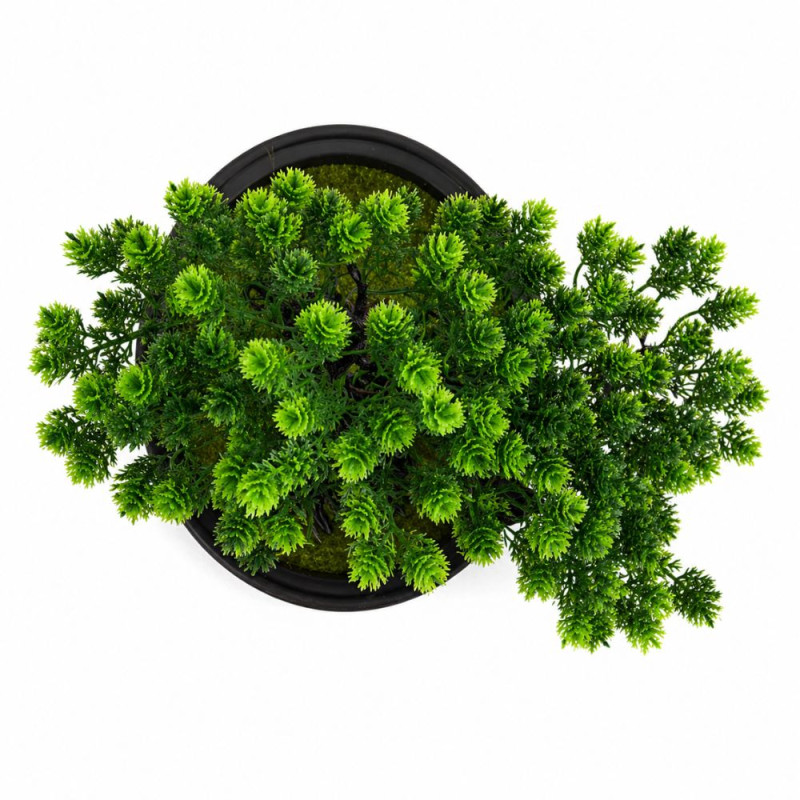 Professional Small Artificial Bonsai Tree – Zen Decor in Black Pot (20cm)