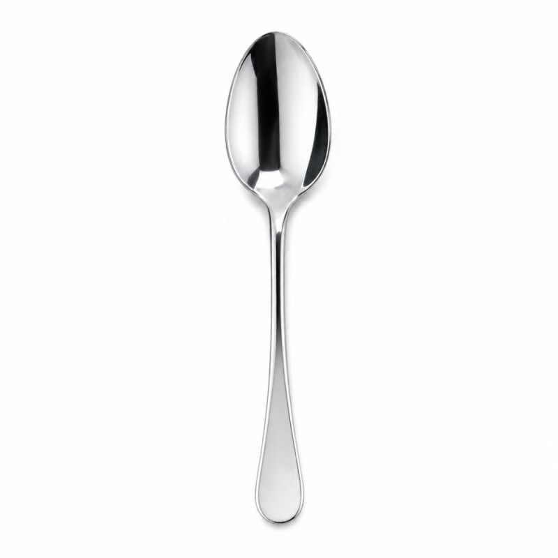 Professional Polished Stainless Steel Spoon – Sleek Silver Design (20cm)