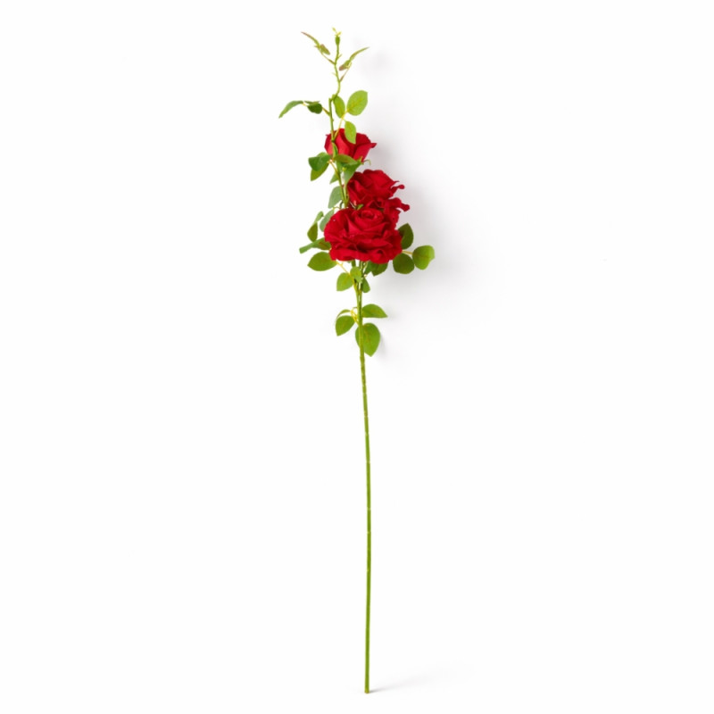 Red Rose Stem