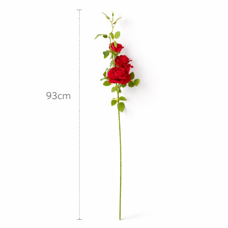 Red Rose Stem