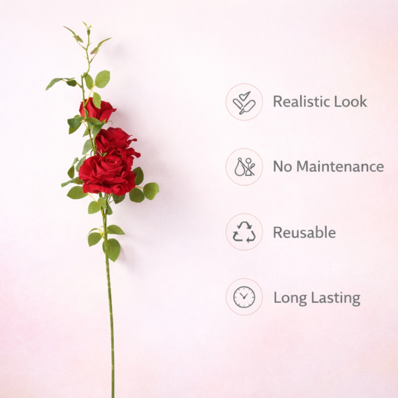 Red Rose Stem